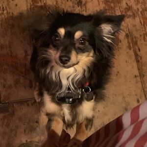 Meet your Posher, Michaela